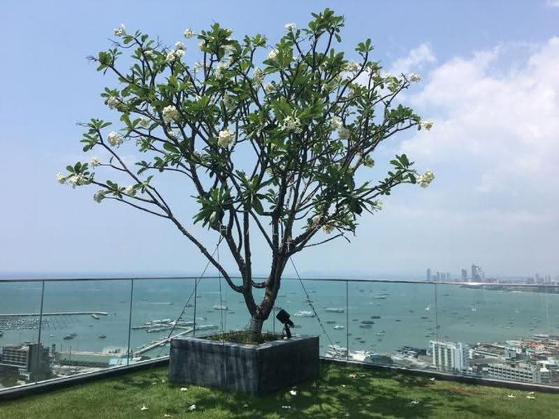 Unixx South Pattaya, Chon Buri (Pattaya), Village No. 12 163, Nong Pru, Bang Lamung (Pattaya), Chon Buri (Pattaya), 1 Bedroom, 26 sqm, Condo For Rent, by Chalisa Kitilimtrakul, 500526184 - DDproperty.com