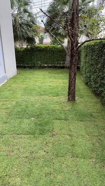 The Palm Bangna-Wongwaen, Bangkok, Sukhaphiban 2 Road, Dok Mai, Prawet, Bangkok, 5 Bedrooms, 315 sqm, Single Detached House For Rent, by Thawatchai Methawongworakul, 500526296 - DDproperty.com