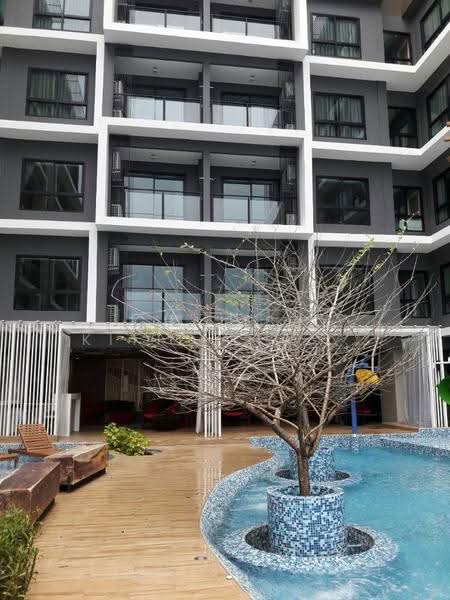 Maysa Condo : เมษา คอนโด, ประจวบคีรีขันธ์, หัวหิน, ประจวบคีรีขันธ์, 32 ตร.ม., คอนโด ให้เช่า, โดย Chalisa Kitilimtrakul, 500526355 - DDproperty.com