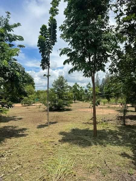 ขายที่ดินพร้อมบ้าน พนัสนิคม ชลบุรี บ้านสวย พร้อมอยู่, ชลบุรี, พนัสนิคม, ชลบุรี, 8,708 ตร.ม., ที่ดิน ขาย, โดย A House Property Co.,Ltd., 500526466 - DDproperty.com
