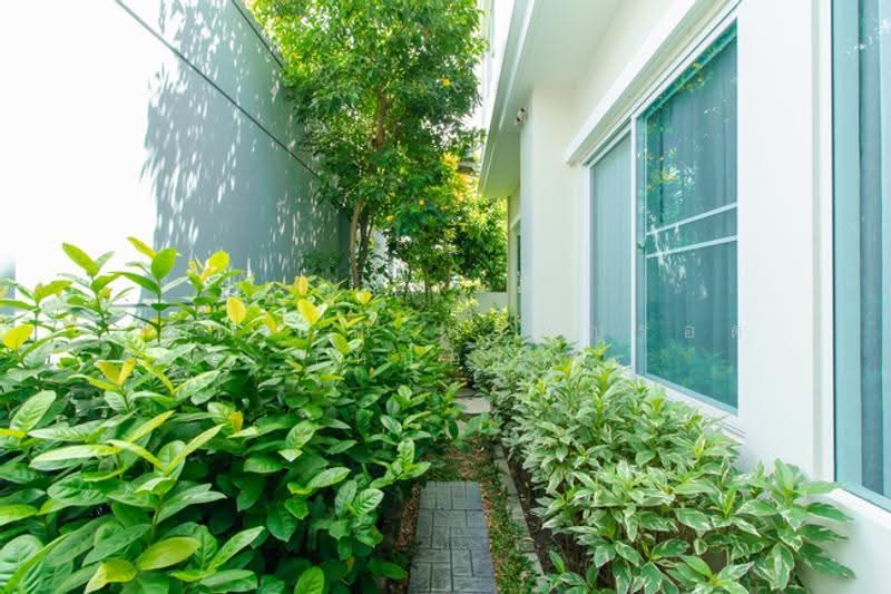 Villaggio Pinklao-Salaya, Nonthaburi, Samretpattana Road, Sala Klang, Bang Kruai, Nonthaburi, 3 Bedrooms, 133 sqm, Single Detached House For Sale, by คุณปราณี ศรีบุญรอด (หน่อย), 500526470 - DDproperty.com