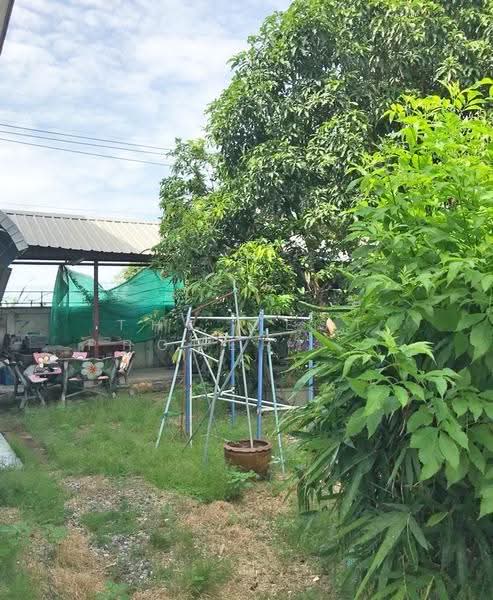 บ้านเดี่ยวลาดกระบัง กรุงเทพมหานคร, กรุงเทพ, ลำปลาทิว, ลาดกระบัง, กรุงเทพ, 100 ตร.ม., บ้านเดี่ยว ขาย, โดย The Best Property ดา, 500526492 - DDproperty.com