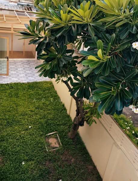 Villette City Pattanakarn 38, Bangkok, Phatthanakan Road, Prawet, Bangkok, 4 Bedrooms, 250 sqm, Townhouse For Sale, by Agent Pla, 500526532 - DDproperty.com