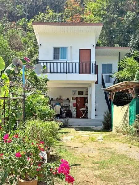 3-BR House, Phuket, Wichit, Muang Phuket, Phuket, 3 Bedrooms, 150 sqm, Single Detached House For Sale, by Puttirat Kleebyam, 500526780 - DDproperty.com
