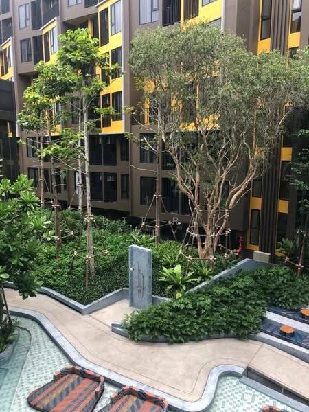 The Base Central : เดอะ เบส เซ็นทรัล ภูเก็ต, ภูเก็ต, ถนน เจ้าฟ้าตะวันตก, วิชิต, เมืองภูเก็ต, ภูเก็ต, 31 ตร.ม., คอนโด ขาย, โดย Puttirat Kleebyam, 500526806 - DDproperty.com