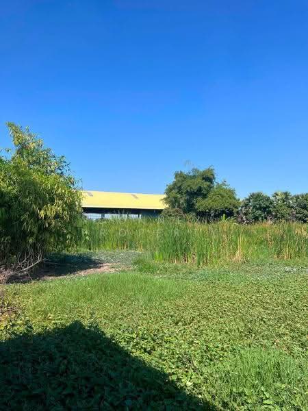 Land for sale in Bangkok, Min Buri, Thai Ramman, 6 rai 2 ngan 66 square wah, Bangkok, ไทรามัญ, Sam Wa Tawan Tok, Khlong Sam Wa, Bangkok, , 10,664 sqm, Land For Sale, by Connex Property, 500526881 - DDproperty.com