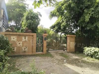ขาย - ที่ดิน600ตร.ว. พร้อมบ้านมีต้นไม้ใหญ่ บรรยากาศ ร่มรื่น หนองจอก, กรุงเทพ