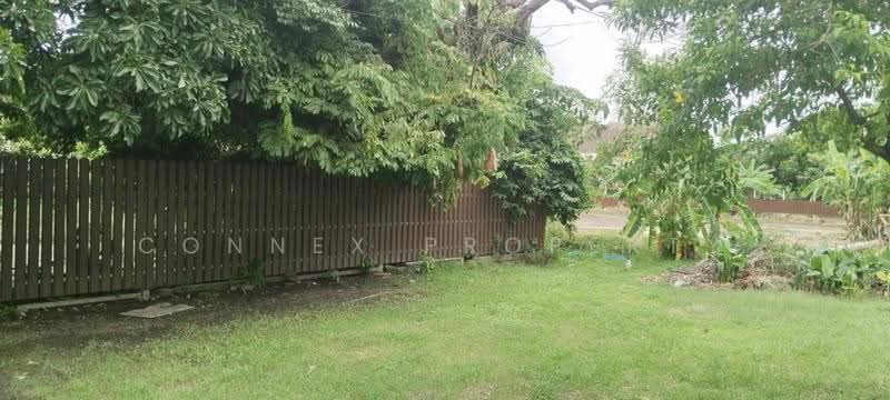 600 square wah of land with a house and large trees, creating a shady and pleasant atmosphere. Nong, Bangkok, -, Nong Chok, Bangkok, , 2,400 sqm, Land For Sale, by Connex Property, 500526908 - DDproperty.com