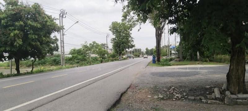 600 square wah of land with a house and large trees, creating a shady and pleasant atmosphere. Nong, Bangkok, -, Nong Chok, Bangkok, , 2,400 sqm, Land For Sale, by Connex Property, 500526908 - DDproperty.com