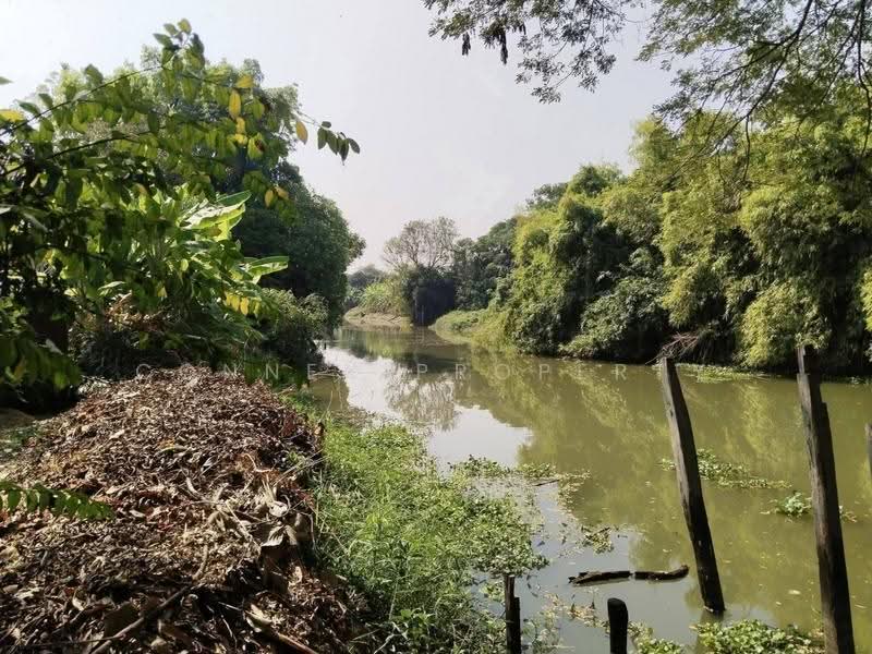 600 square wah of land with a house and large trees, creating a shady and pleasant atmosphere. Nong, Bangkok, -, Nong Chok, Bangkok, , 2,400 sqm, Land For Sale, by Connex Property, 500526908 - DDproperty.com
