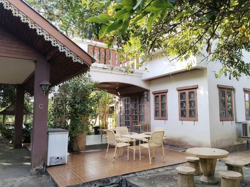 600 square wah of land with a house and large trees, creating a shady and pleasant atmosphere. Nong, Bangkok, -, Nong Chok, Bangkok, , 2,400 sqm, Land For Sale, by Connex Property, 500526908 - DDproperty.com