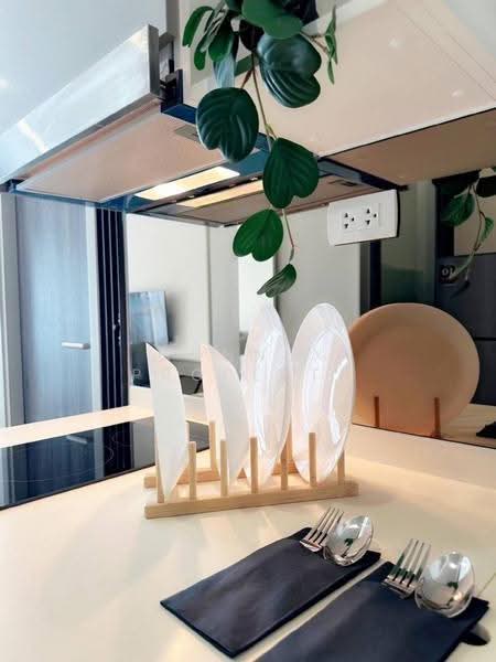 The Rich Rama 9-Srinakarin, Bangkok, Srinakarin Road, Suan Luang, Bangkok, 1 Bedroom, 26 sqm, Condo For Rent, by Connex Property, 500526962 - DDproperty.com