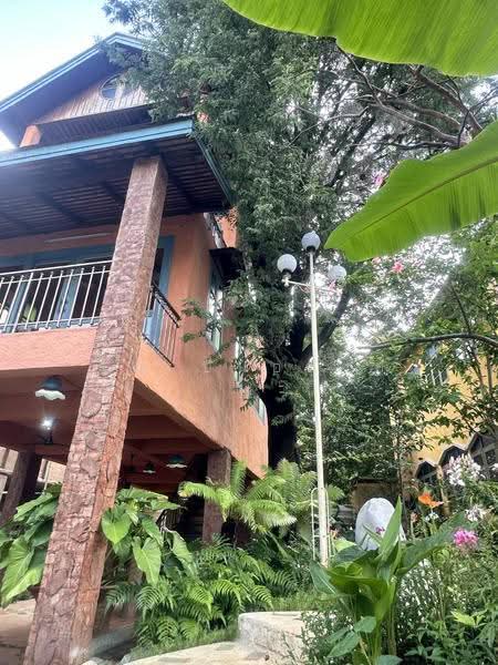 NaNa Pran, Chiang Mai, Fa Ham, Muang Chiang Mai, Chiang Mai, 1 Bedroom, 200 sqm, Single Detached House For Rent, by คุณ ปิ่นอนงค์, 500527031 - DDproperty.com