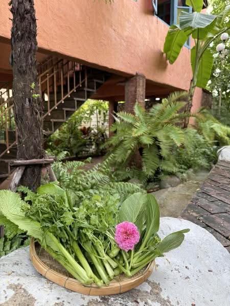 NaNa Pran, Chiang Mai, Fa Ham, Muang Chiang Mai, Chiang Mai, 1 Bedroom, 200 sqm, Single Detached House For Rent, by คุณ ปิ่นอนงค์, 500527031 - DDproperty.com