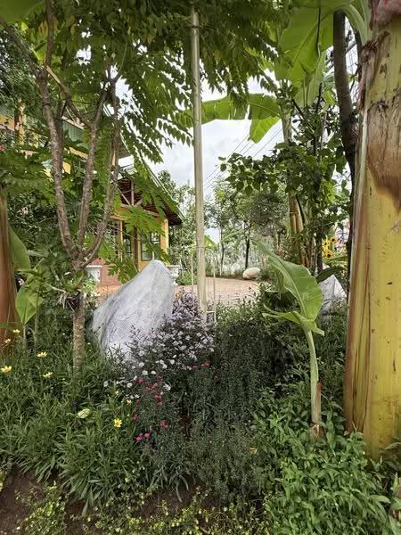 NaNa Pran, Chiang Mai, Fa Ham, Muang Chiang Mai, Chiang Mai, 1 Bedroom, 200 sqm, Single Detached House For Rent, by คุณ ปิ่นอนงค์, 500527031 - DDproperty.com