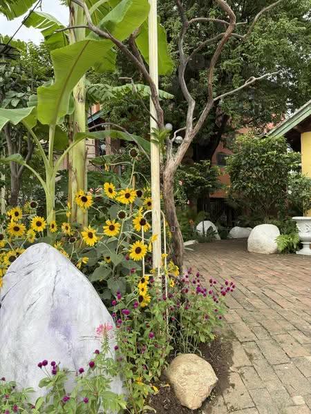 NaNa Pran, Chiang Mai, Fa Ham, Muang Chiang Mai, Chiang Mai, 1 Bedroom, 200 sqm, Single Detached House For Rent, by คุณ ปิ่นอนงค์, 500527031 - DDproperty.com