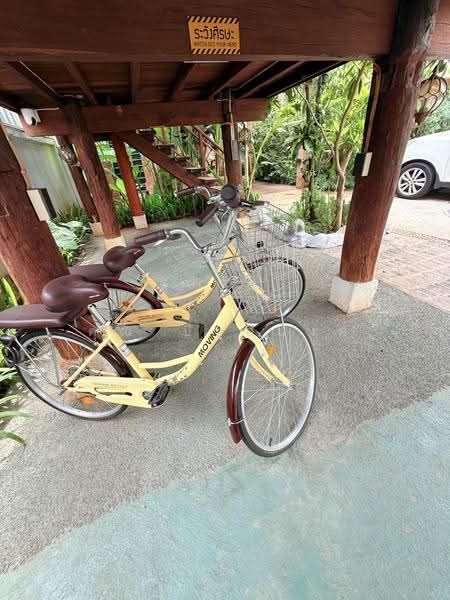 NaNa Pran, Chiang Mai, Fa Ham, Muang Chiang Mai, Chiang Mai, , 200 sqm, Business For Rent, by คุณ ปิ่นอนงค์, 500527050 - DDproperty.com