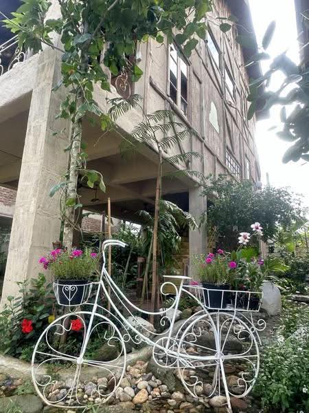NaNa Pran, Chiang Mai, Fa Ham, Muang Chiang Mai, Chiang Mai, , 200 sqm, Business For Rent, by คุณ ปิ่นอนงค์, 500527050 - DDproperty.com