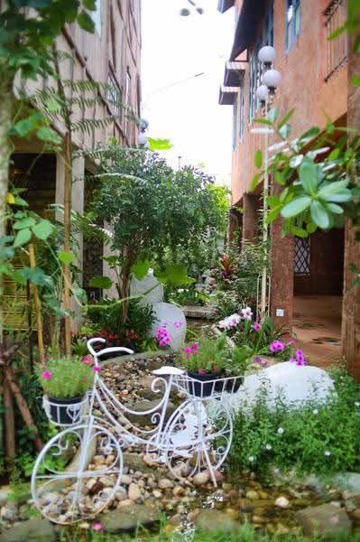 NaNa Pran, Chiang Mai, Fa Ham, Muang Chiang Mai, Chiang Mai, , 200 sqm, Business For Rent, by คุณ ปิ่นอนงค์, 500527050 - DDproperty.com