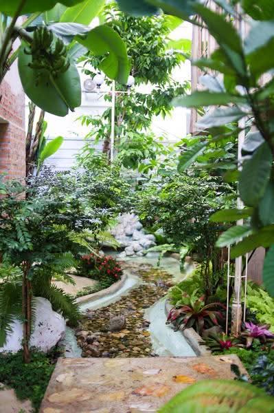 NaNa Pran, Chiang Mai, Fa Ham, Muang Chiang Mai, Chiang Mai, , 200 sqm, Business For Rent, by คุณ ปิ่นอนงค์, 500527050 - DDproperty.com