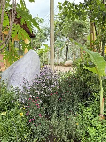 NaNa Pran, Chiang Mai, Fa Ham, Muang Chiang Mai, Chiang Mai, , 200 sqm, Business For Rent, by คุณ ปิ่นอนงค์, 500527050 - DDproperty.com