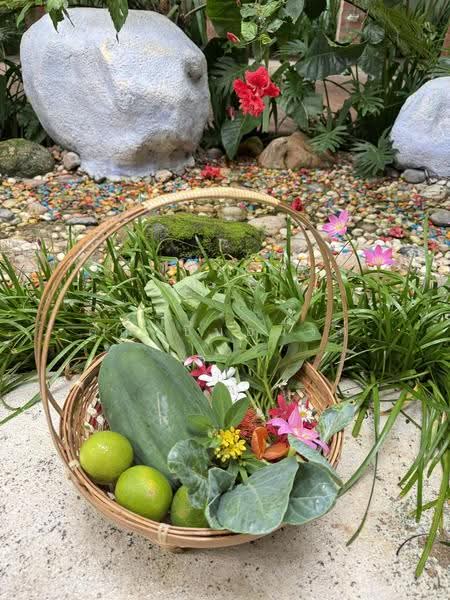 NaNa Pran, Chiang Mai, Fa Ham, Muang Chiang Mai, Chiang Mai, , 200 sqm, Business For Rent, by คุณ ปิ่นอนงค์, 500527050 - DDproperty.com