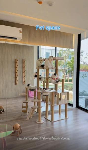 ไวบ์ บางนา, Bangkok, Bang Na Nuea, Bang Na, Bangkok, 3 Bedrooms, 155 sqm, Townhouse For Sale, by Forty-Six Real Estate Group, 500527159 - DDproperty.com
