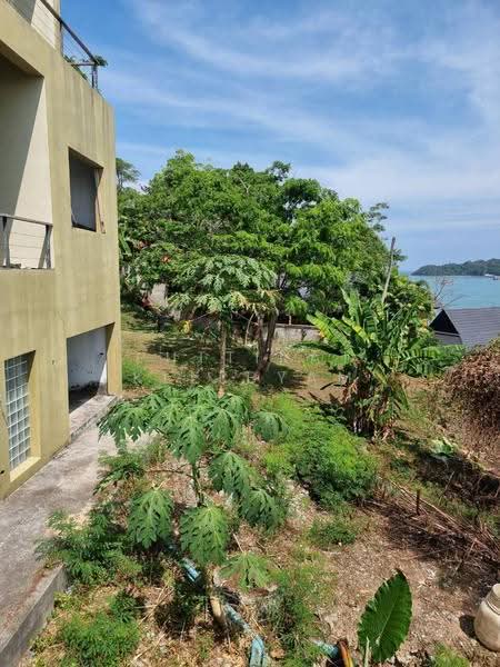 5-BR Villa, Phuket, Wichit, Muang Phuket, Phuket, 5 Bedrooms, 740 sqm, Villa For Sale, by Puttirat Kleebyam, 500527266 - DDproperty.com