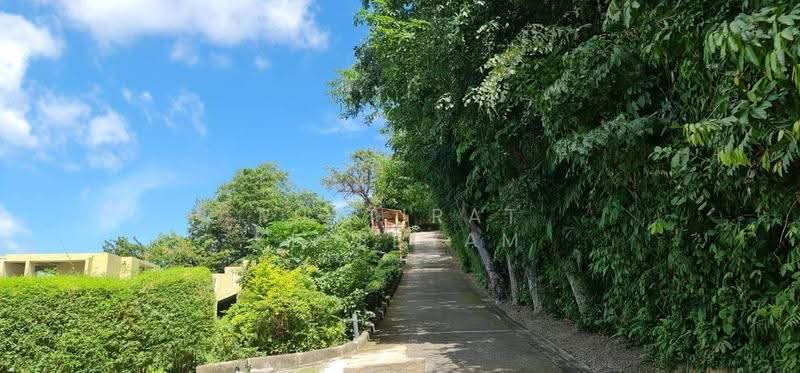 5-BR Villa, Phuket, Wichit, Muang Phuket, Phuket, 5 Bedrooms, 740 sqm, Villa For Sale, by Puttirat Kleebyam, 500527266 - DDproperty.com
