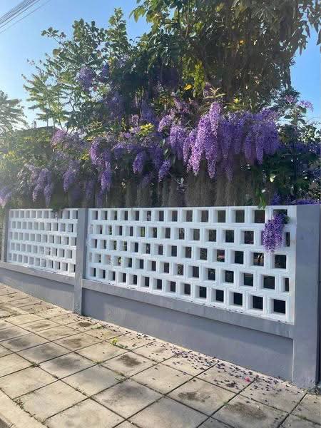 4-BR House, Phuket, Kathu, Phuket, 4 Bedrooms, 200 sqm, Single Detached House For Sale, by Puttirat Kleebyam, 500527379 - DDproperty.com