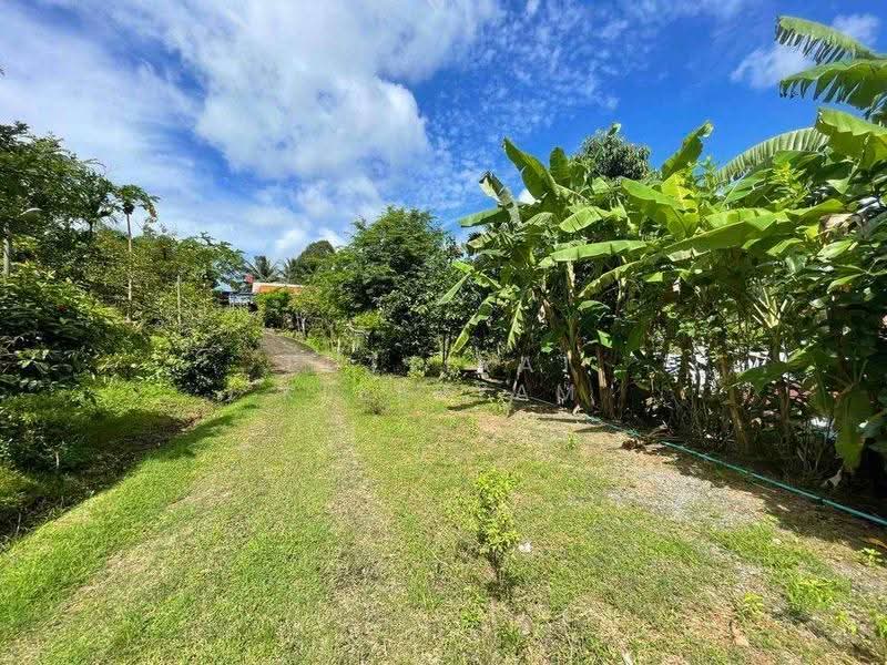 2-BR House, Phuket, Kathu, Phuket, 2 Bedrooms, 93 sqm, Single Detached House For Sale, by Puttirat Kleebyam, 500527434 - DDproperty.com