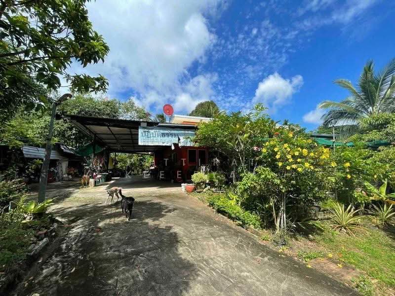 2-BR House, Phuket, Kathu, Phuket, 2 Bedrooms, 93 sqm, Single Detached House For Sale, by Puttirat Kleebyam, 500527434 - DDproperty.com