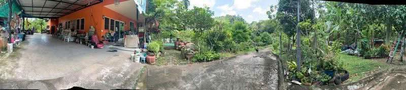 บ้าน 2-ห้องนอน, ภูเก็ต, กะทู้, ภูเก็ต, 93 ตร.ม., บ้านเดี่ยว ขาย, โดย Puttirat Kleebyam, 500527434 - DDproperty.com