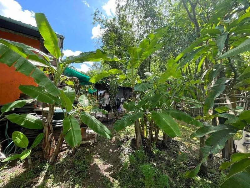 2-BR House, Phuket, Kathu, Phuket, 2 Bedrooms, 93 sqm, Single Detached House For Sale, by Puttirat Kleebyam, 500527434 - DDproperty.com