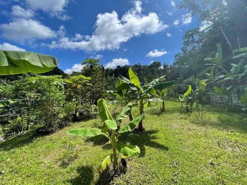 2-BR House, Phuket, Kathu, Phuket, 2 Bedrooms, 93 sqm, Single Detached House For Sale, by Puttirat Kleebyam, 500527434 - DDproperty.com