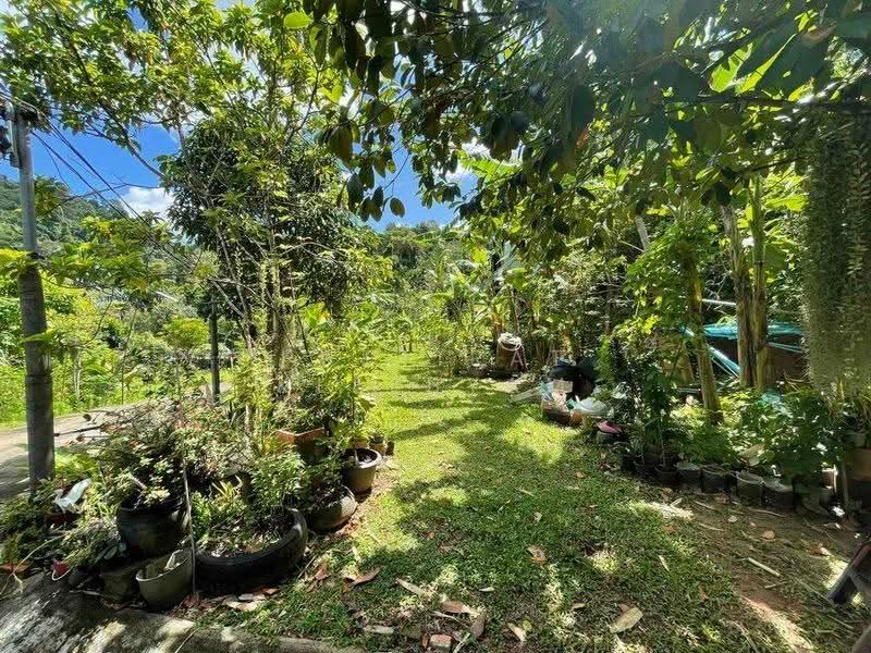 2-BR House, Phuket, Kathu, Phuket, 2 Bedrooms, 93 sqm, Single Detached House For Sale, by Puttirat Kleebyam, 500527434 - DDproperty.com