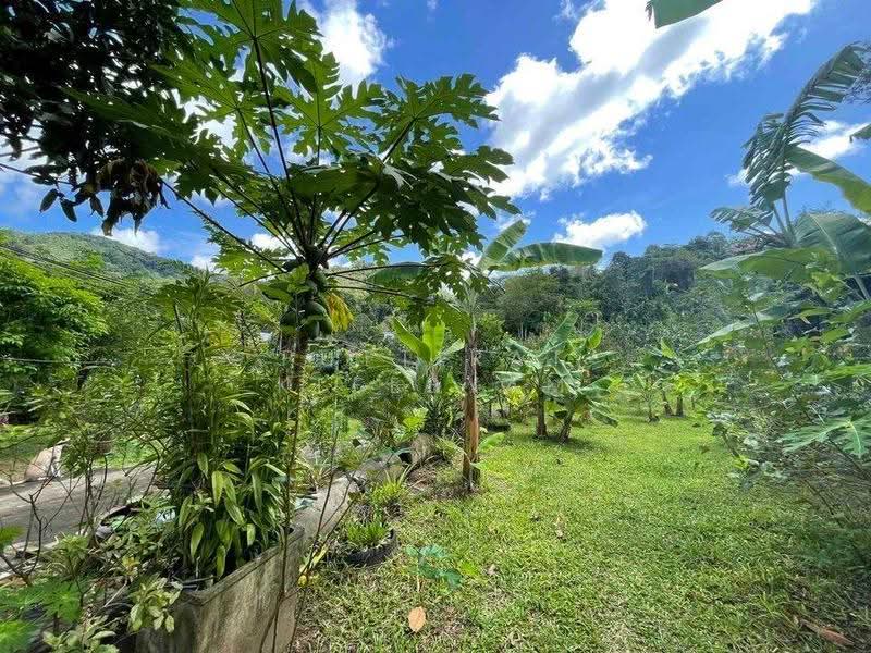 2-BR House, Phuket, Kathu, Phuket, 2 Bedrooms, 93 sqm, Single Detached House For Sale, by Puttirat Kleebyam, 500527434 - DDproperty.com