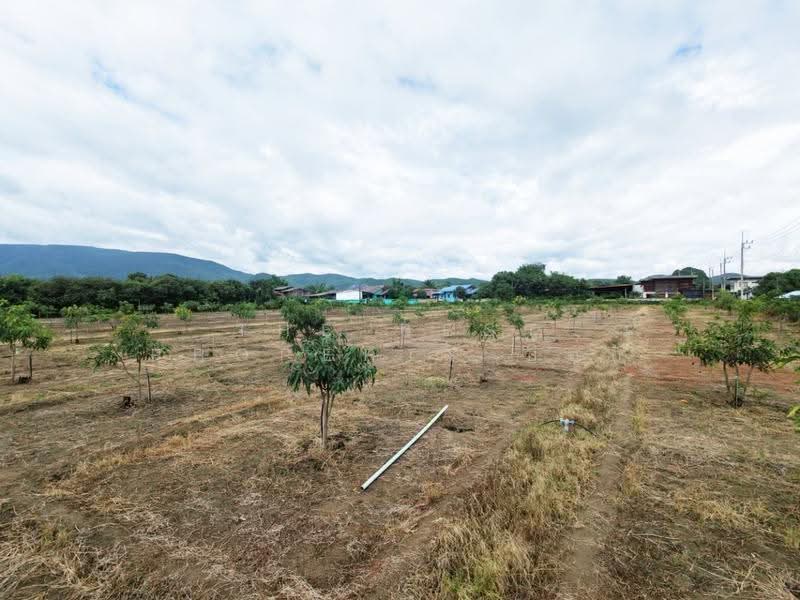 ที่ดินบ้านโฮ่ง ลำพูน, Lamphun, Ban Hong, Lamphun, , 14,188 sqm, Land For Sale, by The Best Property บอย, 500527485 - DDproperty.com