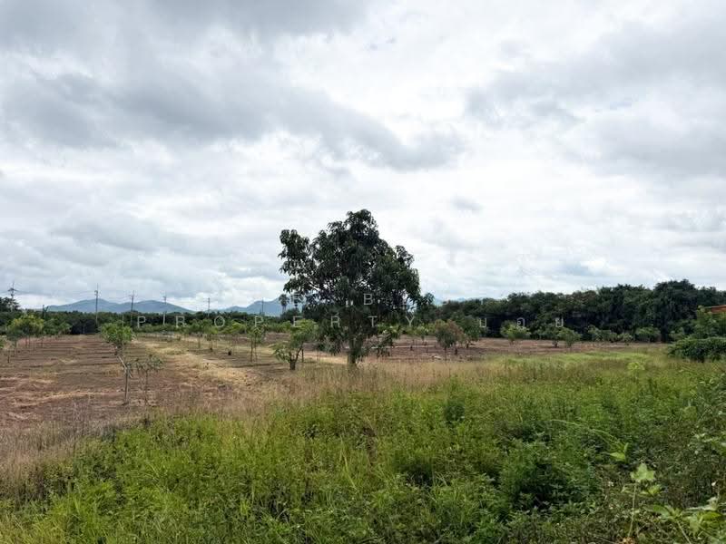 ที่ดินบ้านโฮ่ง ลำพูน, ลำพูน, บ้านโฮ่ง, ลำพูน, 14,188 ตร.ม., Land ขาย, โดย The Best Property บอย, 500527485 - DDproperty.com
