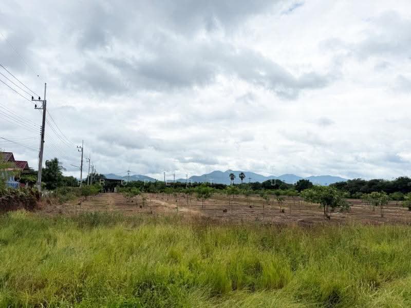ที่ดินบ้านโฮ่ง ลำพูน, ลำพูน, บ้านโฮ่ง, ลำพูน, 14,188 ตร.ม., Land ขาย, โดย The Best Property บอย, 500527485 - DDproperty.com