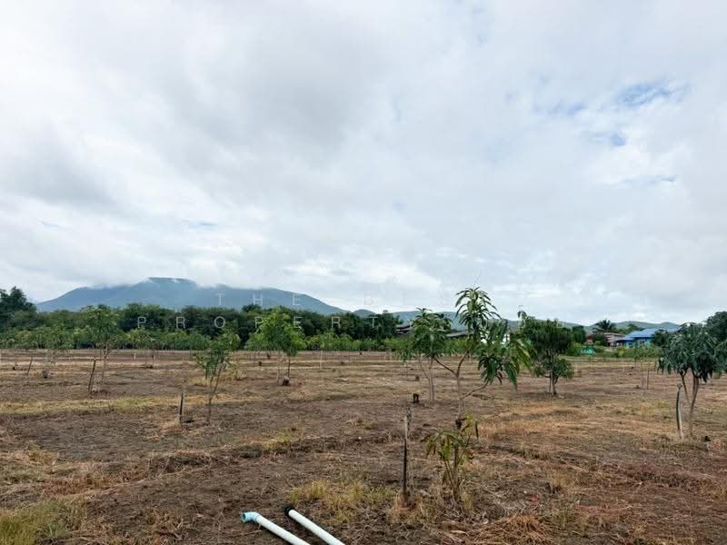 ที่ดินบ้านโฮ่ง ลำพูน, ลำพูน, บ้านโฮ่ง, ลำพูน, 14,188 ตร.ม., Land ขาย, โดย The Best Property บอย, 500527485 - DDproperty.com