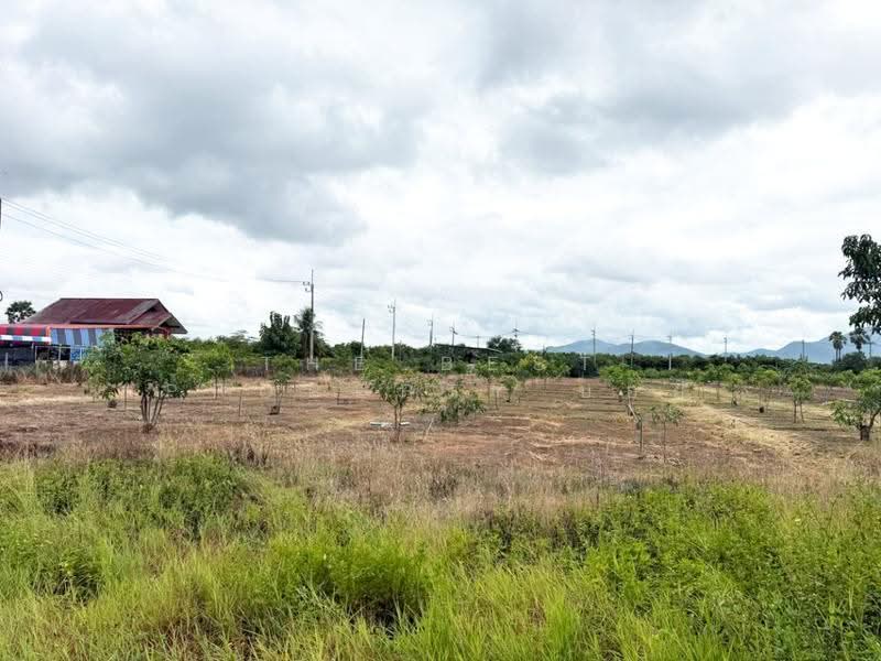 ที่ดินบ้านโฮ่ง ลำพูน, ลำพูน, บ้านโฮ่ง, ลำพูน, 14,188 ตร.ม., Land ขาย, โดย The Best Property บอย, 500527485 - DDproperty.com