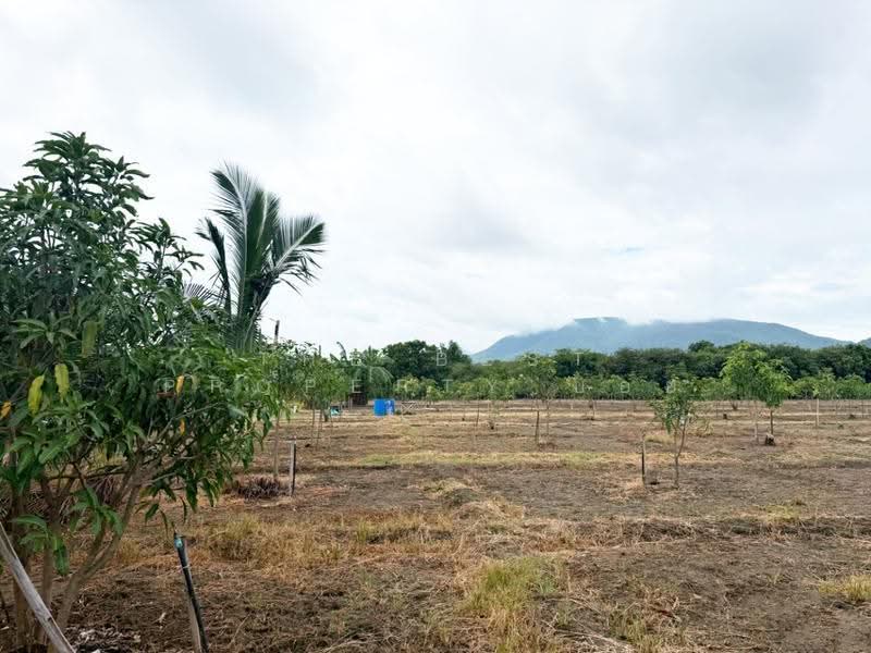 ที่ดินบ้านโฮ่ง ลำพูน, ลำพูน, บ้านโฮ่ง, ลำพูน, 14,188 ตร.ม., Land ขาย, โดย The Best Property บอย, 500527485 - DDproperty.com