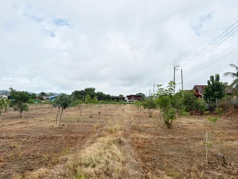 ที่ดินบ้านโฮ่ง ลำพูน, ลำพูน, บ้านโฮ่ง, ลำพูน, 14,188 ตร.ม., Land ขาย, โดย The Best Property บอย, 500527485 - DDproperty.com