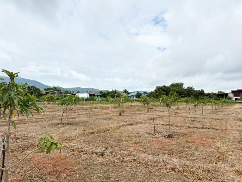 ที่ดินบ้านโฮ่ง ลำพูน, ลำพูน, บ้านโฮ่ง, ลำพูน, 14,188 ตร.ม., Land ขาย, โดย The Best Property บอย, 500527485 - DDproperty.com
