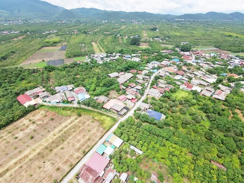 ที่ดินบ้านโฮ่ง ลำพูน, Lamphun, Ban Hong, Lamphun, , 14,188 sqm, Land For Sale, by The Best Property บอย, 500527485 - DDproperty.com