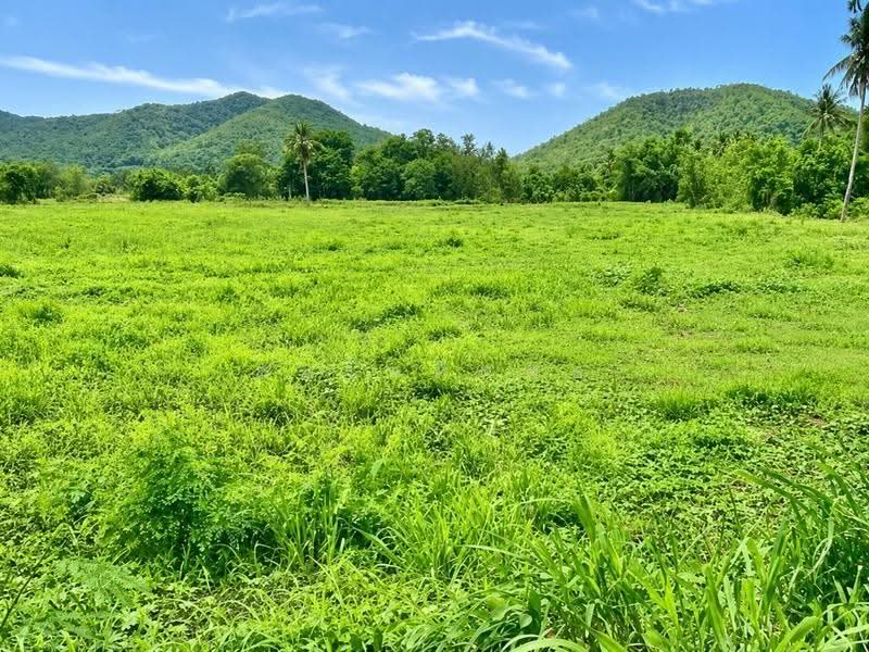 ตำบลบ้านบึง อำเภอบ้านไร่ อุทัยธานี, uthai-thani, Ban Bung, Ban Rai, Uthai Thani, , 10,708 sqm, Land For Sale, by สนใจติดต่อ, 500527519 - DDproperty.com