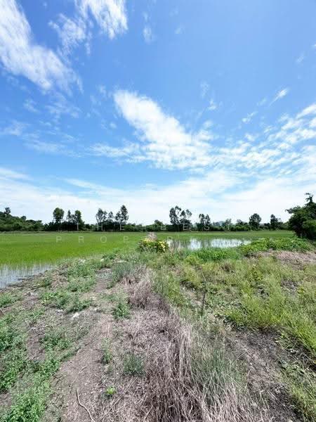 ที่ดินบ้านหมี่ ลพบุรี, ลพบุรี, บางพึ่ง, บ้านหมี่, ลพบุรี, 37,568 ตร.ม., Land ขาย, โดย The Best Property เท่ห์, 500527533 - DDproperty.com