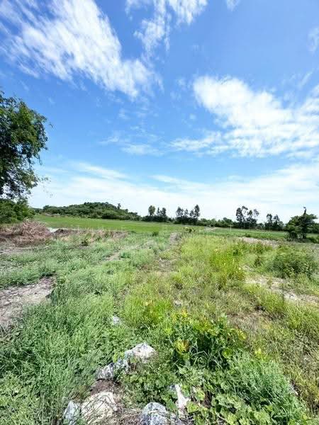 ที่ดินบ้านหมี่ ลพบุรี, Lop Buri, Bang Phung, Ban Mi, Lop Buri, , 37,568 sqm, Land For Sale, by The Best Property เท่ห์, 500527533 - DDproperty.com