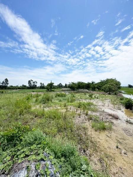 ที่ดินบ้านหมี่ ลพบุรี, Lop Buri, Bang Phung, Ban Mi, Lop Buri, , 37,568 sqm, Land For Sale, by The Best Property เท่ห์, 500527533 - DDproperty.com